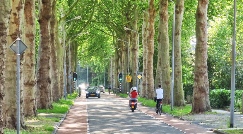 Spectaculair verbouwde vooroorlogse half vrijstaande villa op toplocatie tegenover de vijver op de Burgemeester Amersfoordtlaan 69 @Badhoevedorp Foto 03 Omgeving 01a