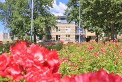 Aan groene, rustige zijde van seniorencomplex gelegen 3-kamerappartement met vrij uitzicht, balkon, lift en garageplaats @Badhoevedorp Kamerlingh Onneslaan 141 Foto 37