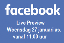 Facebook Preview logo