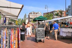 Loftachtige benedenwoning met tuin @Amsterdam-Oost Balistraat 8-a Foto 37 Omgeving 01c