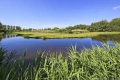 Hoekwoning met grote tuin @Amsterdam Korte Water 252 Foto 47 omgeving 01b