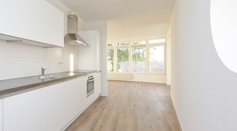 05 Penthouse met dakterras @Badhoevedorp Ranonkelstraat 34