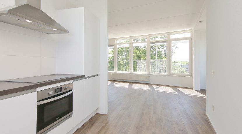 22 Penthouse met dakterras @Badhoevedorp Ranonkelstraat 34