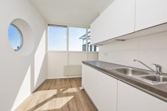 23 Penthouse met dakterras @Badhoevedorp Ranonkelstraat 34