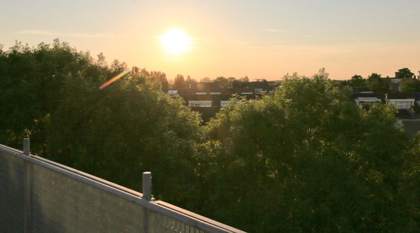 29 Penthouse met dakterras @Badhoevedorp Ranonkelstraat 34