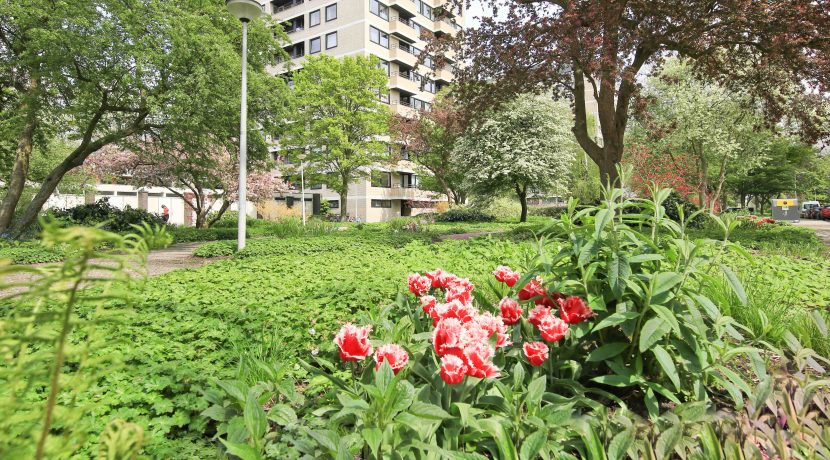 Adembenemend uitzicht aan de Vrijzicht 135 @Amsterdam Foto 29 Gevel 01b