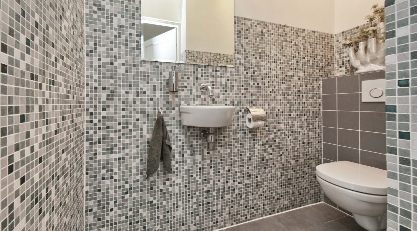 17 Sloterweg 205 toilet