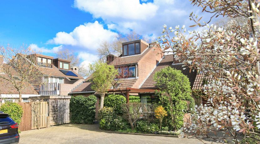 38 Sloterweg 205 achtergevel