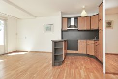 17 Thomsonstraat 194 keuken 01d