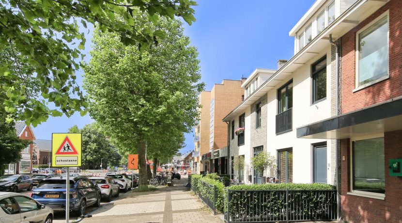 12 Pa Verkuijllaan straatbeeld 02a
