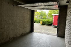 IMG_3135