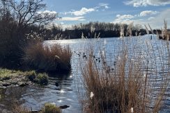 IMG_9334 Vk6 omgeving 04