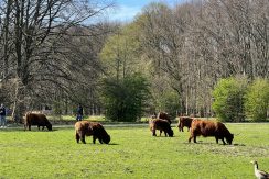 IMG_9337 Vk7 omgeving 07