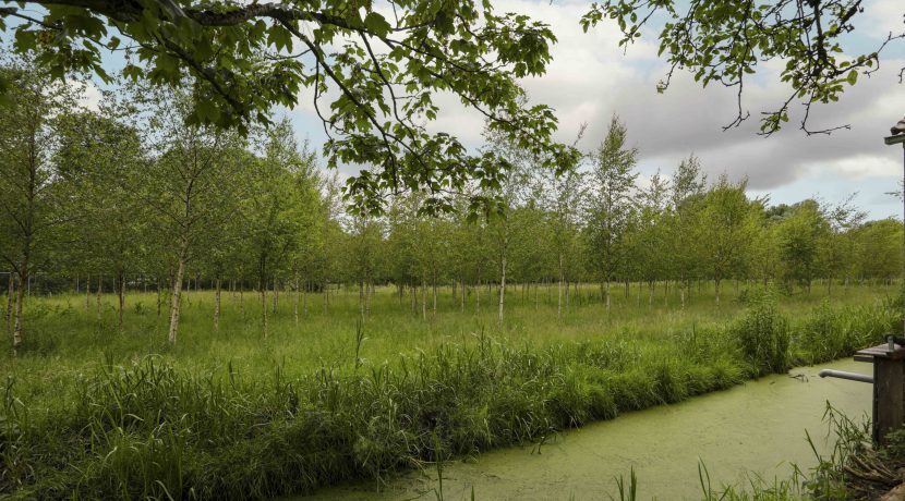 Nieuwemeerdijk 454 Badhoevedorp 34
