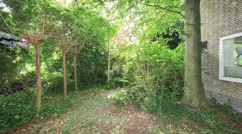 Pelikaanstr 41 Foto 92 Voortuin 01d
