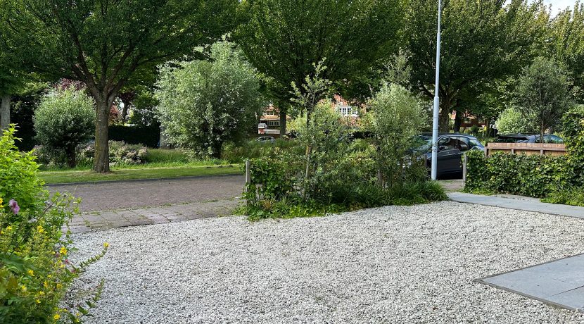 Rietwijck 4 Foto 55 Voortuin 01a