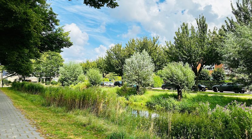 Rietwijck 4 Foto 56 Omgeving 01b
