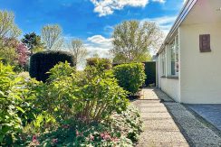 45 Pasteurstraat 6 Voortuin 01e