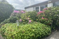 56 Pasteurstraat 6 Voortuin 01d