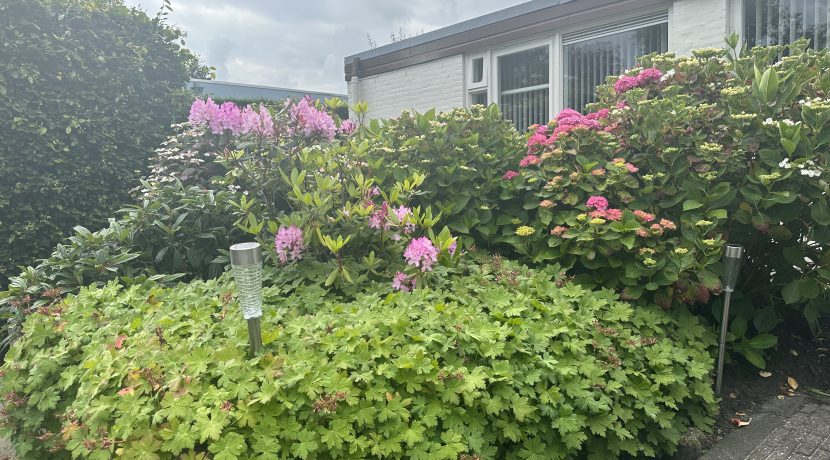 56 Pasteurstraat 6 Voortuin 01d