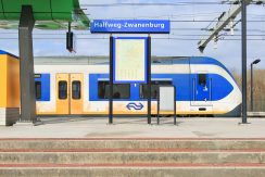 10 Larixlaan 50 Omgeving 01b