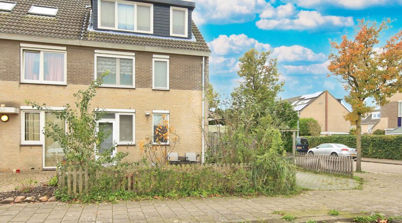 44 Anjersingel 50 gevel 01c