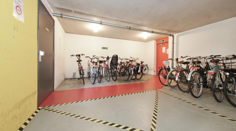 Tretjakov 124 Foto 54 fiets