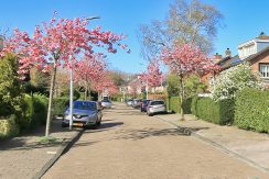 21 Parkiet 22 Straatbeeld 01a
