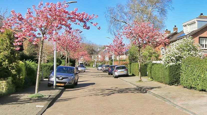 21 Parkiet 22 Straatbeeld 01a