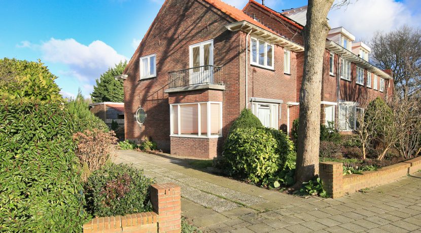 50 Sperwerstr 32 zijgevel 01b