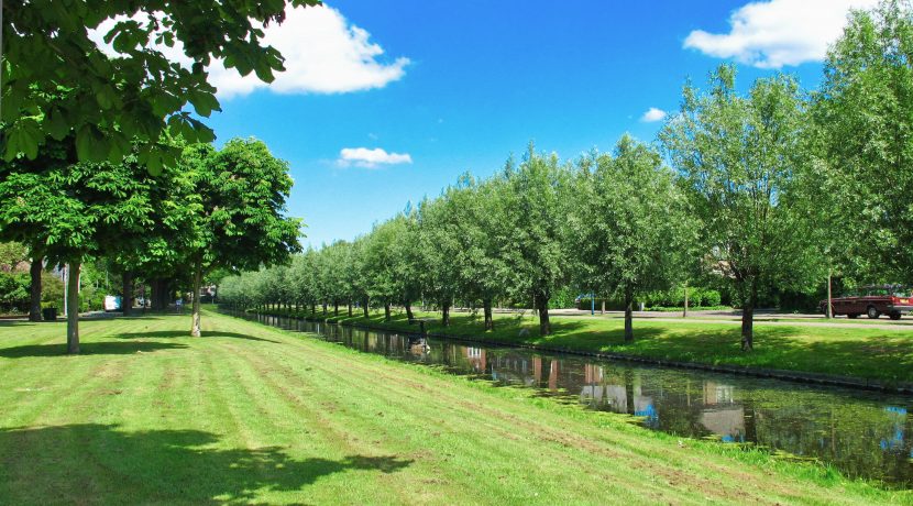 70 Fazantstr 31 omgeving 01a