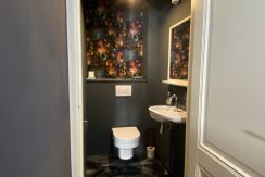 12 Limmerick 80 toilet 02a