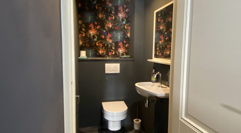 12 Limmerick 80 toilet 02a
