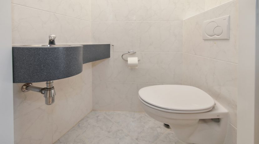 36 Bramerveld 8 toilet 01a