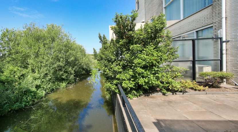 12 Pyreneeen 61 Tuin 01b