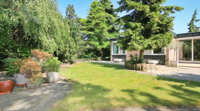 42 Robert Koch 6 Tuin 01m