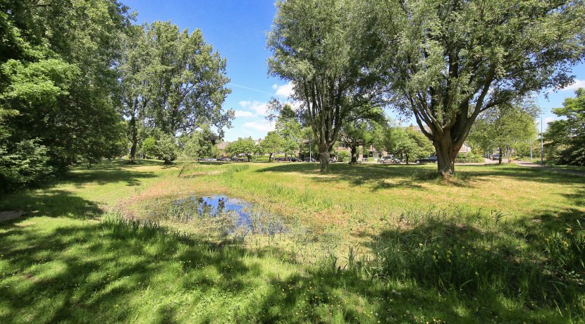 43 Meidoornweg 152 omgeving 01b