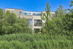 60 Pyreneeën 61 Gevel 01c