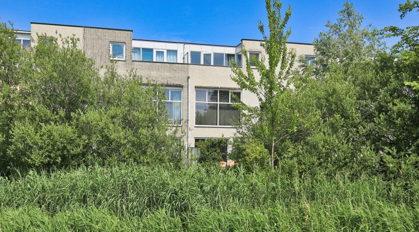 60 Pyreneeën 61 Gevel 01c