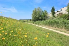 61 Pyreneeën 61 Omgeving 01b
