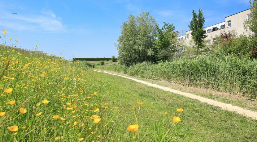 61 Pyreneeën 61 Omgeving 01b