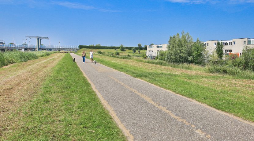 62 Pyreneeën 61 Omgeving 01c
