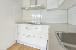 19 Jan v Duivenvoordestr 201 keuken 01d
