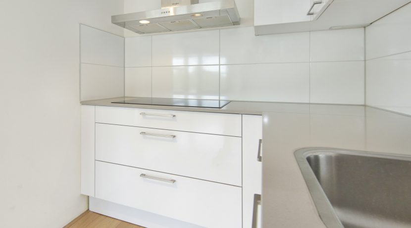 19 Jan v Duivenvoordestr 201 keuken 01d