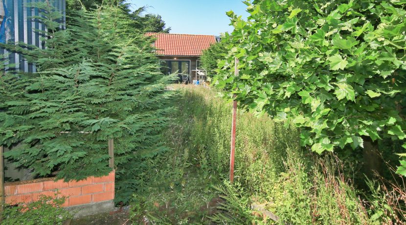 33 Akerdijk 105 tuin 01c