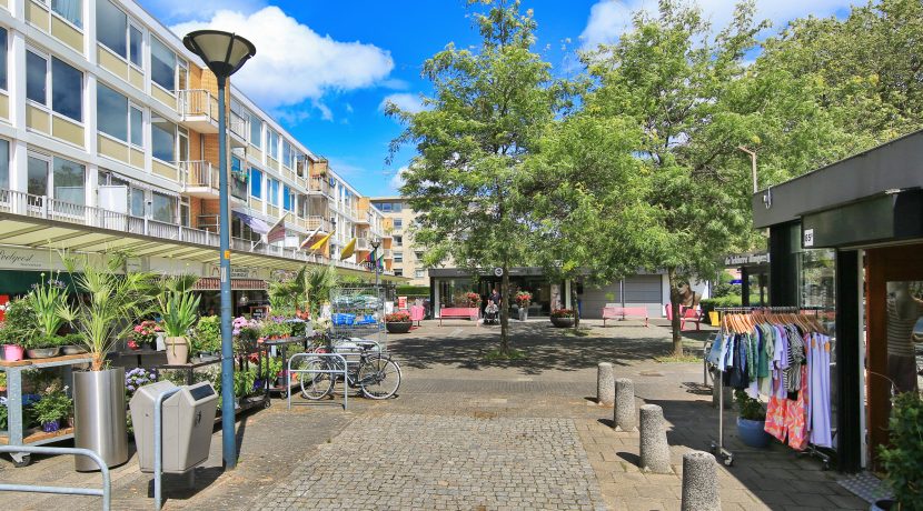 50 Thomsonstraat 25 Omgeving 01a