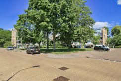 13 Einstein 251 Omgeving 01a