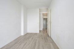 21 CvRijplnts 49 skm 02b