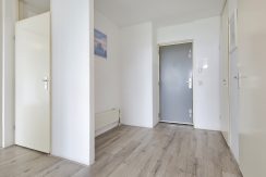 23 CvRijplnts 49 hal 01b