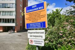 30 CvRijplnts 49 straatbeeld 01b